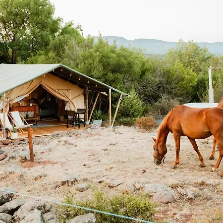 Equi-lodge Avec Au Lac Du Salagou *